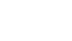 logo vite
